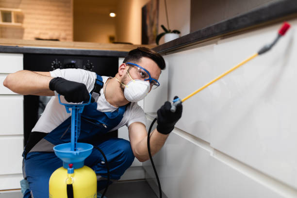 Best Rat Extermination Near Me  in Alamae, NC