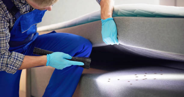 Best Pest Control Near Me  in Alamae, NC