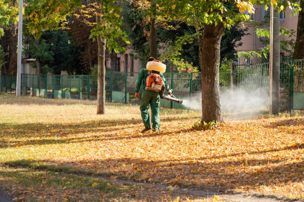 Pest Control for Restaurants in Alamance, NC