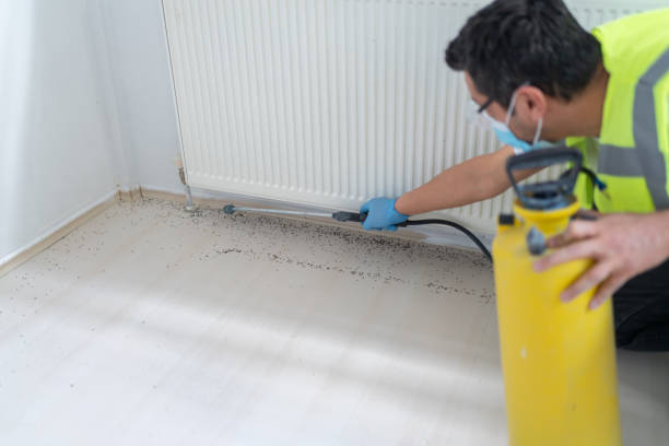 Best Wasp Removal Services  in Alamae, NC